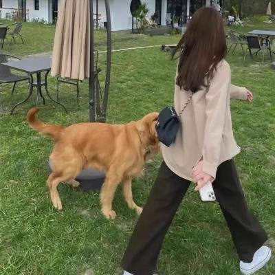 穿梭梦美人