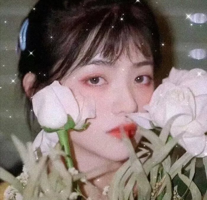 和平使者第一季